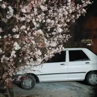 پراید ۹۹ تمیز بدون رنگ کم کار