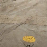 تلوار نیسان و درب گاوی