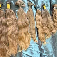 گیسو بلند