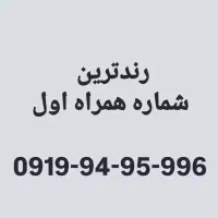 رند رند بهترین ۹۱۹ بدون زنگ خور بیلبوردی