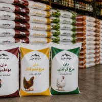 وزن‌گیری بهتر دام و طیور با تغذیه و خوراک اصولی