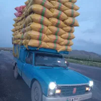خریدوفروش کاه