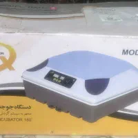دستگاه جوجه کشی