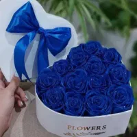 گل ربانی نازگل