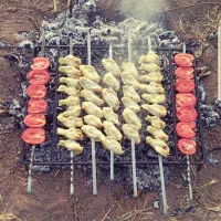 منقل کباب