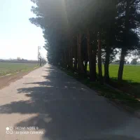 1800متر باغ انگوری