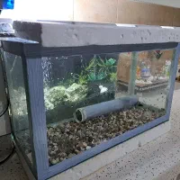 شیشه آکواریوم با سنگ
