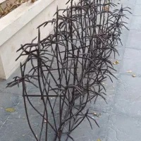 حفاظ روی دیوار