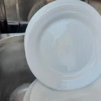 ظروف رستورانی