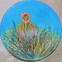 دیوارکوب