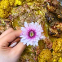 یک نفر دستگاه دار (آشپز) طباخی نیازمندیم