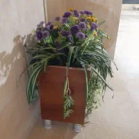 باکس گل|گل مصنوعی|شهریار, شهریار|دیوار