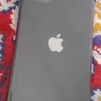 iPhone 11 normal