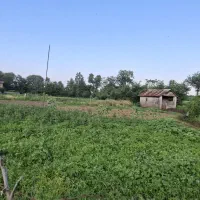 فروش-زمین-250-متری-مسکونی-در-پره-سر-کیشه-خاله
