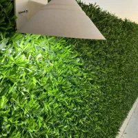 فنس چمنی و برگ ریحون