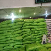 نیم دانه خارجی