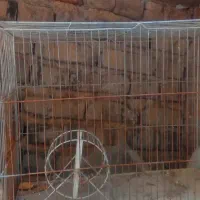 قفس بزرگ پرنده وهمستر