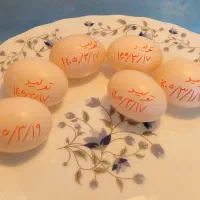 تخم کبوتر