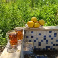 باغ. ابرده. 7شاندیز