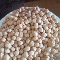 نخود مرغوب یکدست و زودپز