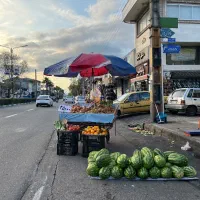 گاری با چتر