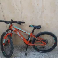 دوچرخه پیگون،