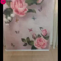 پرده زبرا