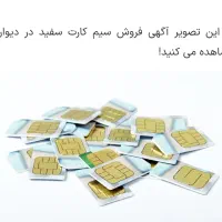 خط صفر