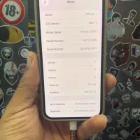 13pro