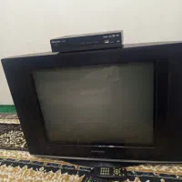 تلویزیون