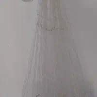 تور ماهیگیری