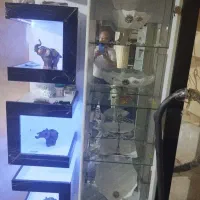 گنجه
