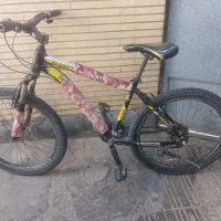 دوعدد دوچرخه