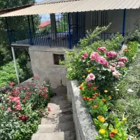 اجاره ویلا در دراسله بزرگ