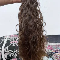 سیصد شاخه مو طبیعی به صورت توافقی