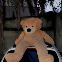 خرس ۱/۵ متری