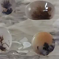 سنگ شجر