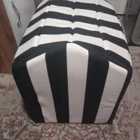 لونه سگ و گربه