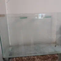 اکواریوم