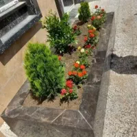 باغبانی وکاشت گل وگیاه درمنزل وباغ شما