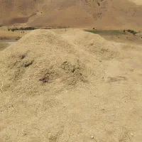 علف حدود ۷تا 8 تن