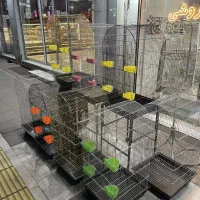 قفس چهار لیوان فقط و فقط 830ت