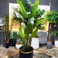 نیکولای پرنده بهشتی