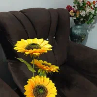 گل وارداتی