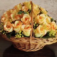 گل رومیزی ،گل گندمی