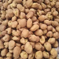 برساق داغ تازه