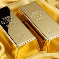 یک قطعه طلا پیدا شده