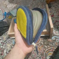 حدود ۲۰۰ cd همراه با کیفش