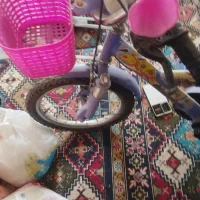 دوچرخه|دوچرخه، اسکیت، اسکوتر|قم, دروازه ری|دیوار