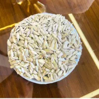 مغز تخمه آفتابگردان و هندوانه